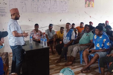 घोडा-खच्चडधनीलाई तीन दिनभित्र छाडा पशुको व्यवस्थापन गर्न निर्देशन